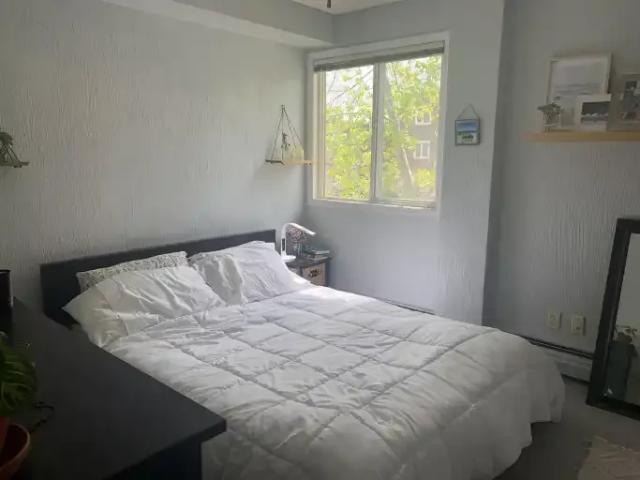 Condo for rent in Crescent Heights, Calgary