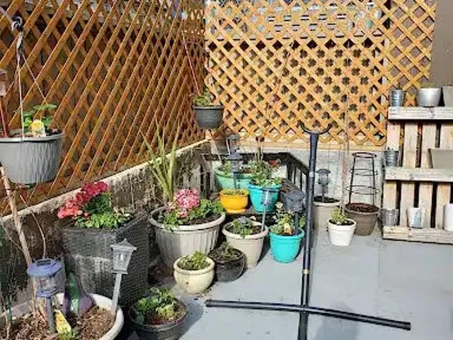 Condo for rent in Wedgewood, Alberta