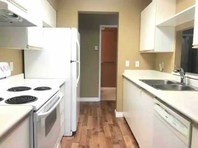 Condo for rent in City Centre, Surrey