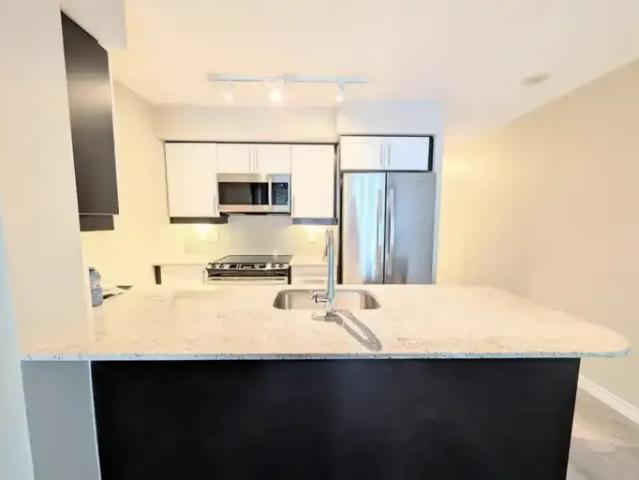 Condo for rent in Spadina—Fort York, Toronto