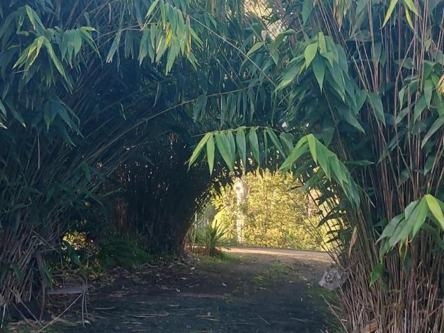 House for sale in Blue Knob, Lismore City Council