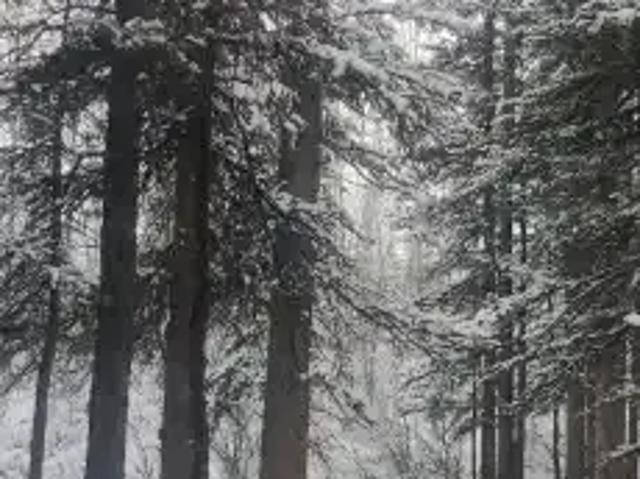House for rent in Redwood Meadows, Rocky View County
