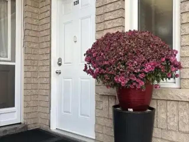 House for rent in York, Ontario