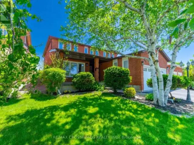 House for rent in York, Ontario