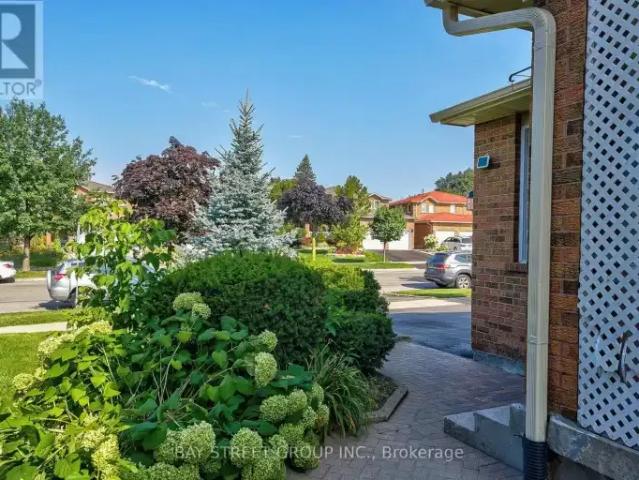 House for rent in York, Ontario