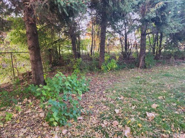 Room for rent in York, Ontario