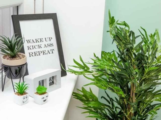 Room for rent in Bangor, Wales