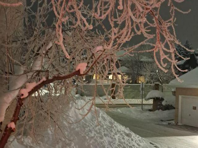 Room for rent in Northwest, Alberta
