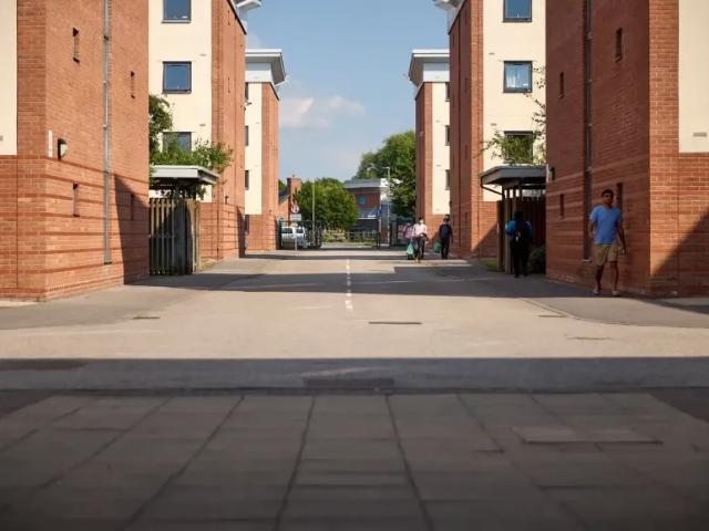 Room for rent in Hammond Street