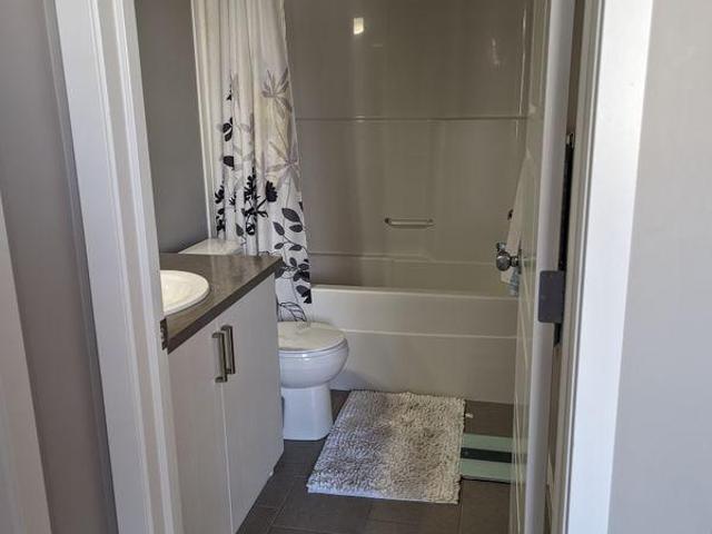 Room for rent in Wedgewood, Alberta