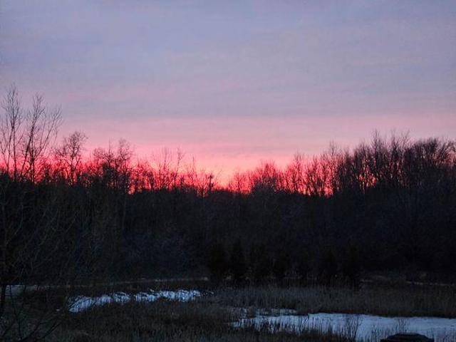 Room for rent in Guelph, Ontario