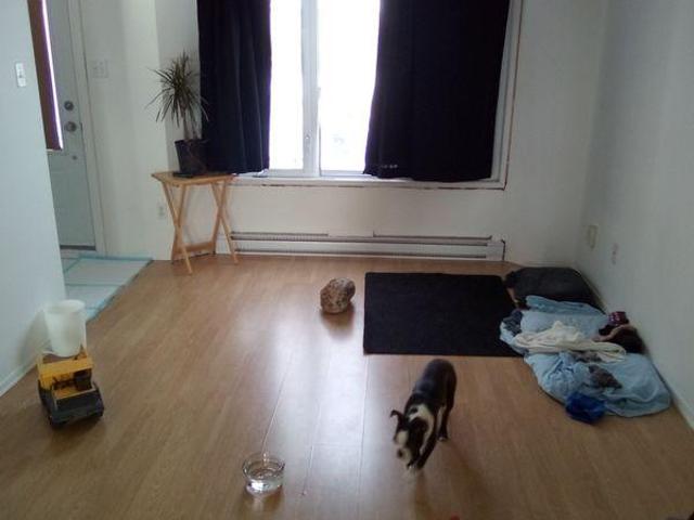 Room for rent in Laval