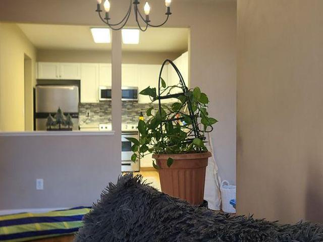 Room for rent in Pitt Meadows, British Columbia