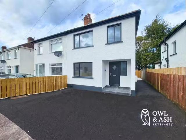 House to rent