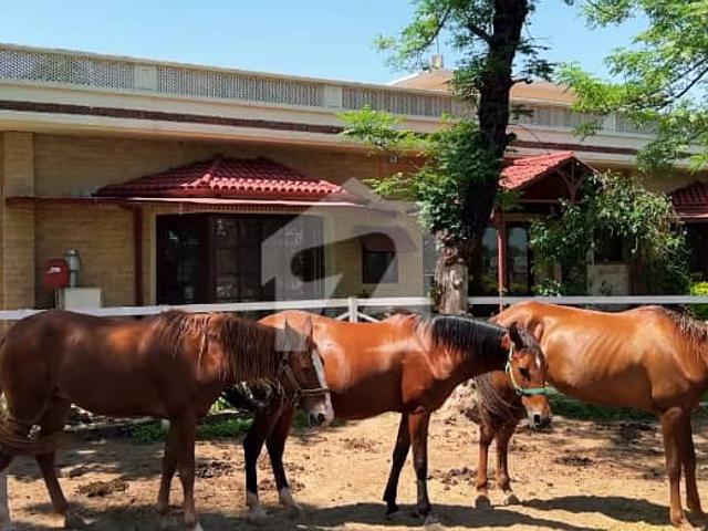 Property for rent in Islamabad