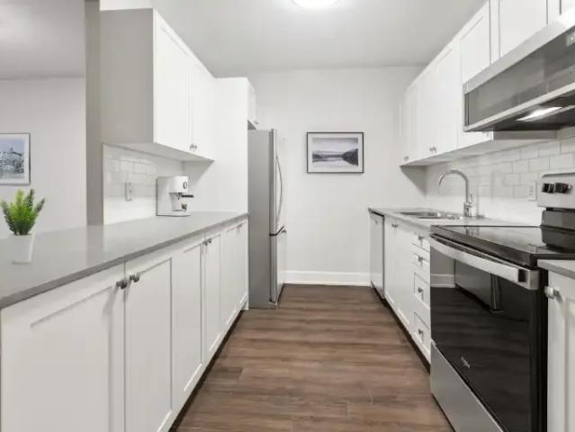 Apartment for rent in Kingston, Ontario