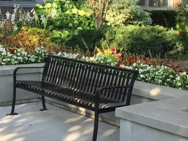 Apartment for rent in Burlington, Ontario