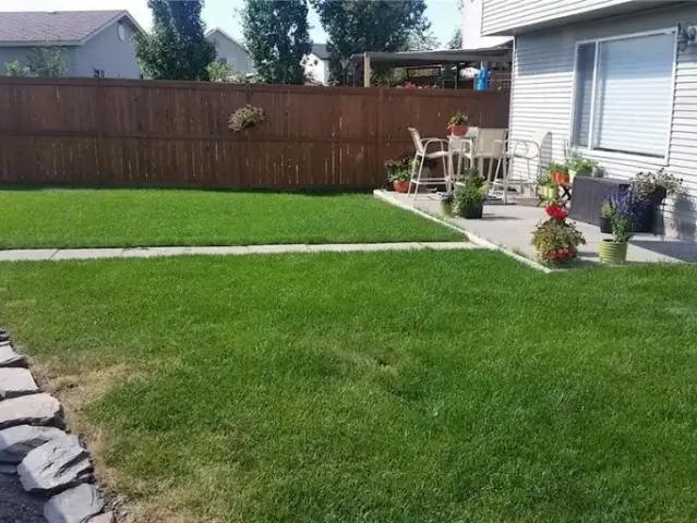 Apartment for rent in Cranston, Calgary