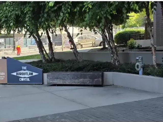 Apartment for rent in Burquitlam, Coquitlam