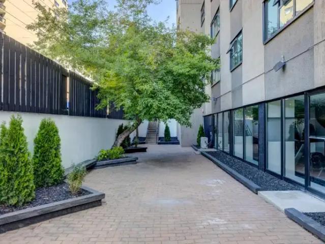 Apartment for rent in Wîhkwêntôwin, Edmonton