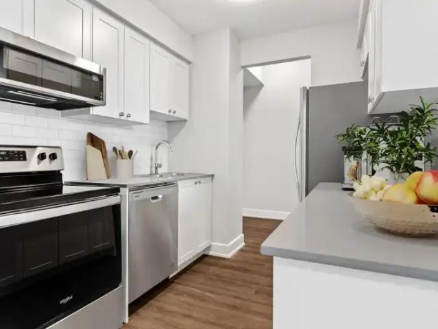 Apartment for rent in Kingston, Ontario