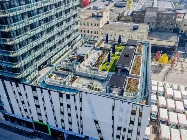 Apartment for rent in Downtown, Kitchener