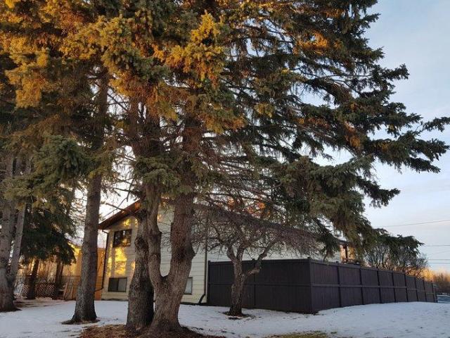 Apartment for rent in Alberta