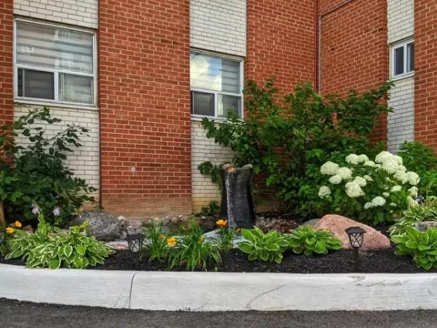 Apartment for rent in York, Ontario