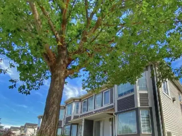 Apartment for rent in Strathmore, Alberta