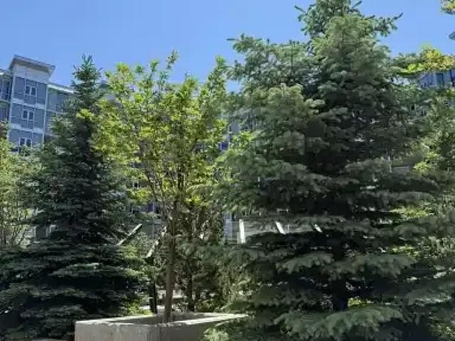 Condo for rent in Northwest, Alberta