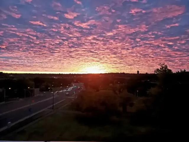 Condo for rent in Wedgewood, Alberta