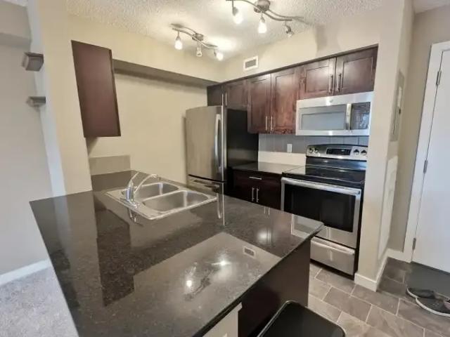 Condo for rent in Heritage Point, Edmonton