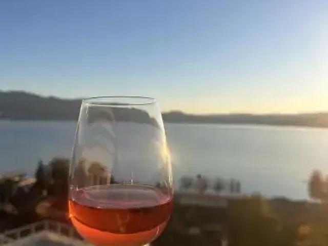 Condo for rent in Pandosy, Kelowna