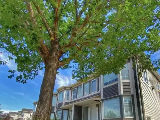 Condo for rent in Strathmore, Alberta