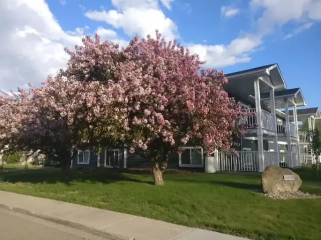 Condo for rent in Strathmore, Alberta