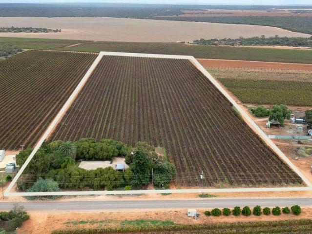 House for sale in Barmera, The Berri Barmera Council