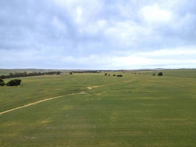 House for sale in Goyder, South Australia