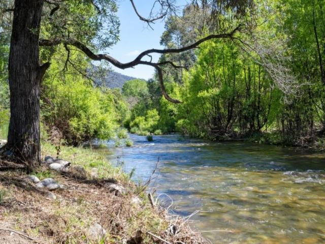 Land for sale in Tawonga South, Alpine Shire
