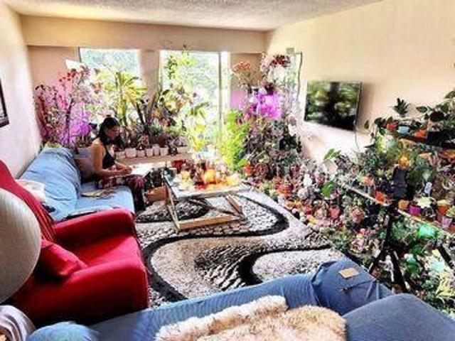 Room for rent in Coquitlam