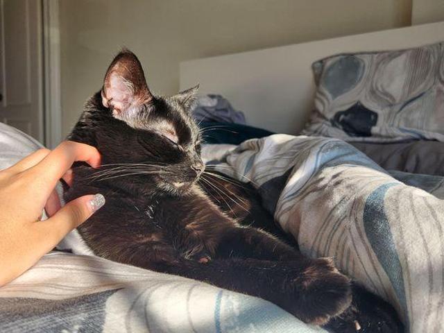 Room for rent in Courtice, Ontario