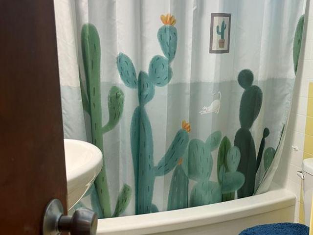 Room for rent in Hamilton