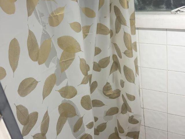 Room for rent in Windsor