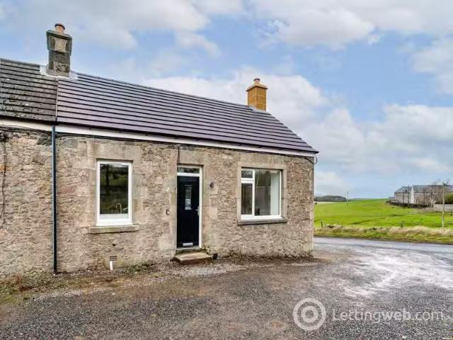 House for rent
