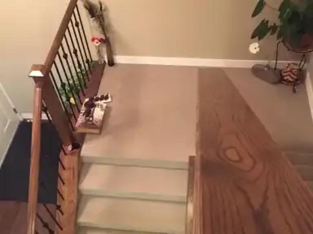 Apartment for rent in Northwest, Alberta
