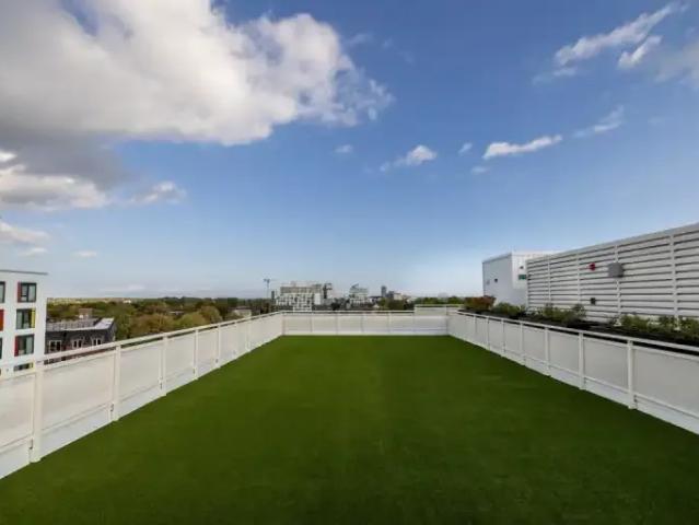 Apartment for rent in Kingston, Ontario