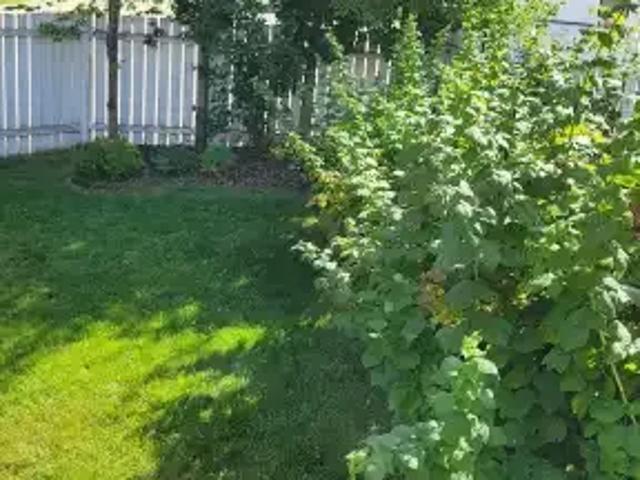 Apartment for rent in Strathmore, Alberta