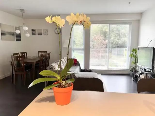 Apartment for rent in Surrey, British Columbia