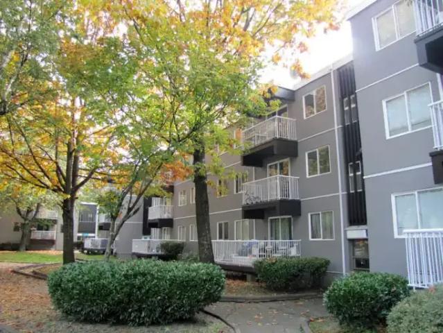 Apartment for rent in Surrey, British Columbia