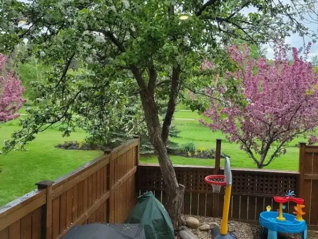 Condo for rent in Northwest, Alberta