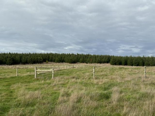 House for sale in Bridport, Tasmania